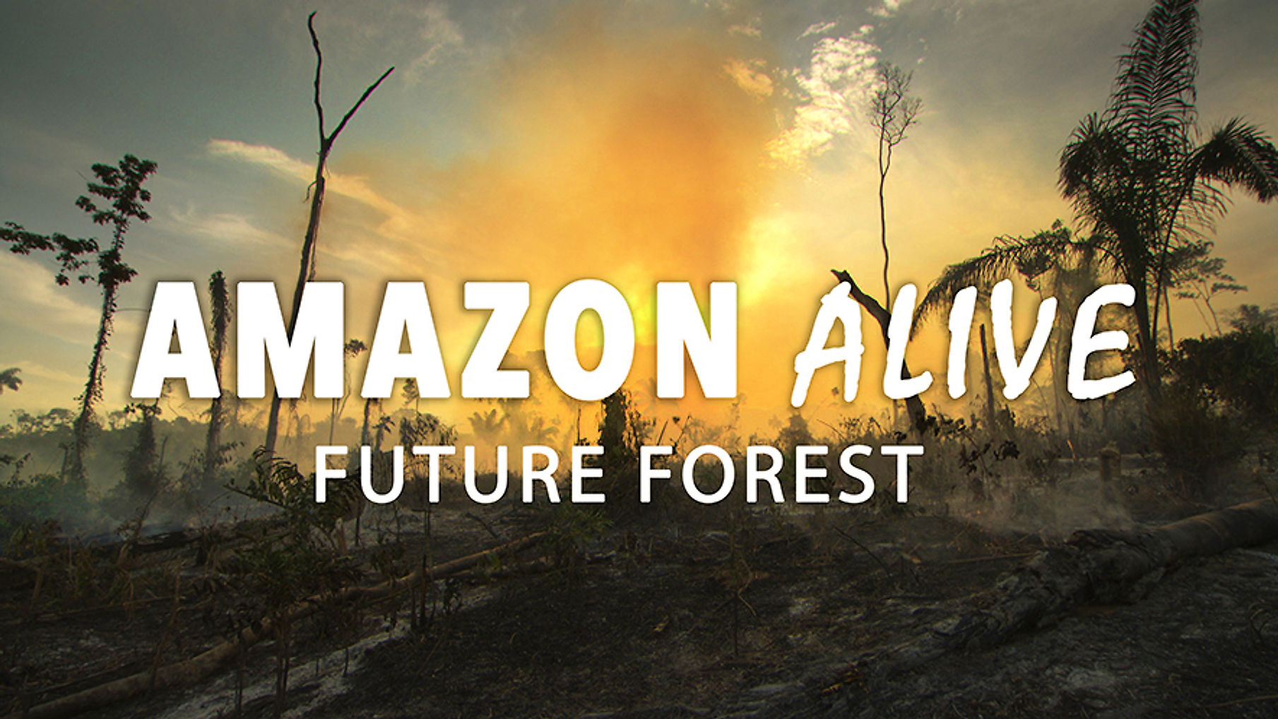 Amazon Alive - Forest of the Future